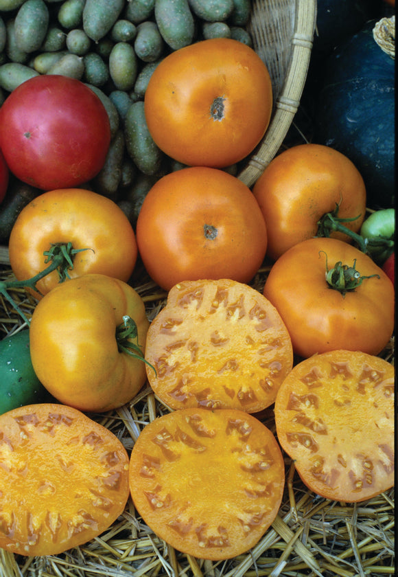 TOMATO GOLDEN JUBILEE (1/4 OZ (EACH))