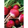 RADISH WHITE TIPPED SCARLET (1/2 OZ (EACH))