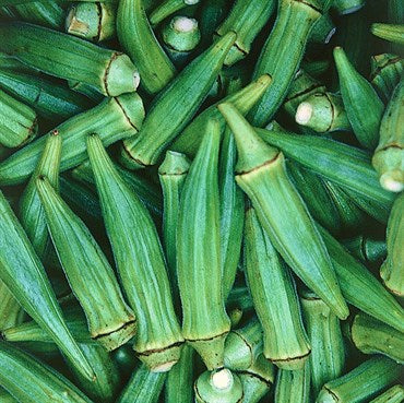 Wetsel Seed Okra - Clemson Spineless Tall (1/2 oz)