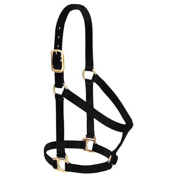 Weaver Leather Basic Non-Adjustable Halter 1