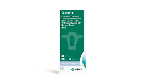 Merck Bovilis® Cavalry® 9 (10 Dose)