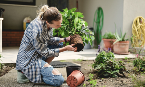 Woman holding plant