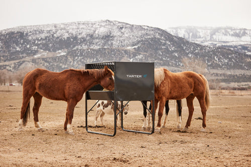 Tarter Equine Elevated Hay & Grain Feeder