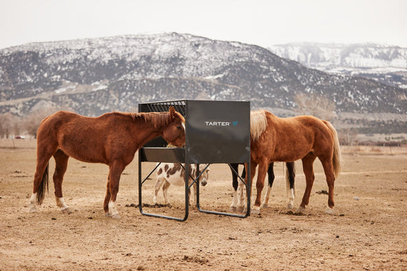 Tarter Equine Elevated Hay & Grain Feeder