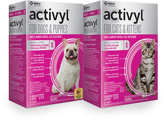 Activyl For Cats And Kittens