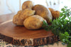 Dutch Valley Growers Kennebec Seed Potatoes