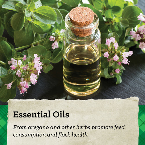 Nutrena® NatureWise® Meatbird 22% Protein Crumble