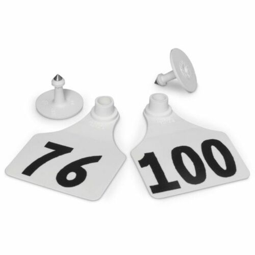 Y-Tex 3 Star Medium White Cattle ID Ear Tags Numbered 76-100 (Medium, White)